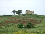 041  sicilian countryside.jpg